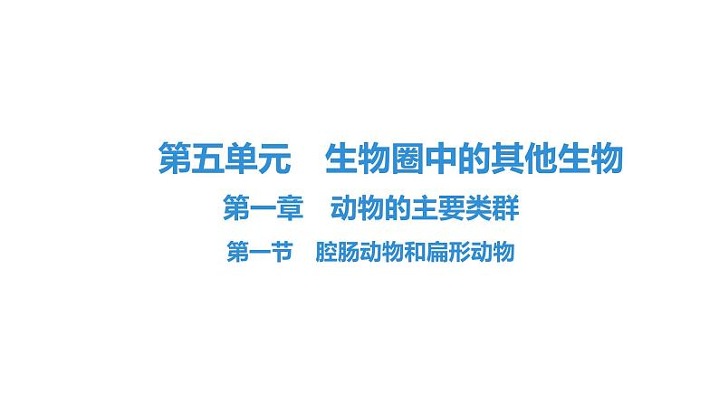 人教版生物八年级上册5.1.1 腔肠动物和扁形动物 课件01