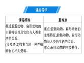 人教版生物八年级上册5.1.1 腔肠动物和扁形动物 课件