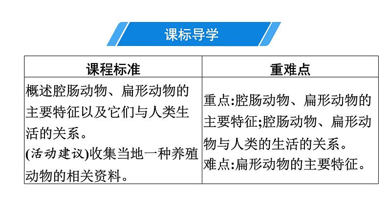 人教版生物八年级上册5.1.1 腔肠动物和扁形动物 课件03