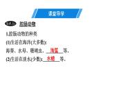 人教版生物八年级上册5.1.1 腔肠动物和扁形动物 课件