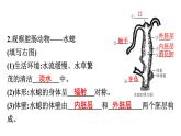 人教版生物八年级上册5.1.1 腔肠动物和扁形动物 课件