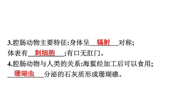 人教版生物八年级上册5.1.1 腔肠动物和扁形动物 课件07