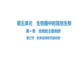 人教版生物八年级上册5.1.3 软体动物和节肢动物 课件