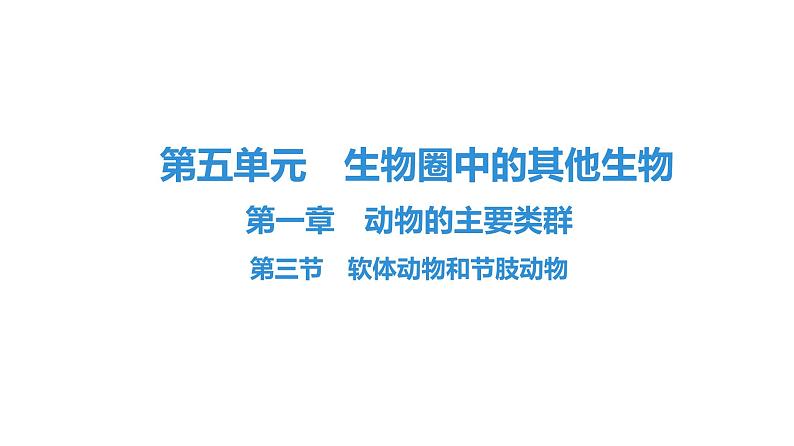 人教版生物八年级上册5.1.3 软体动物和节肢动物 课件01