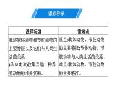 人教版生物八年级上册5.1.3 软体动物和节肢动物 课件