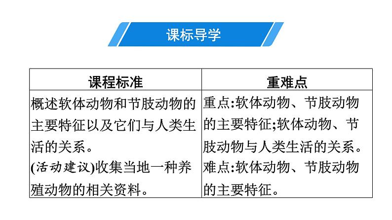 人教版生物八年级上册5.1.3 软体动物和节肢动物 课件03