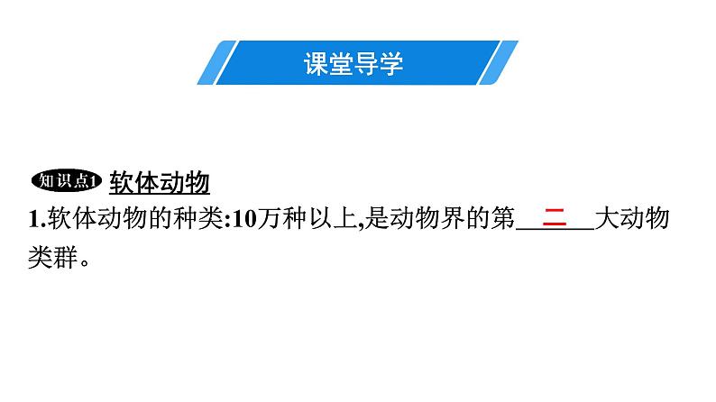 人教版生物八年级上册5.1.3 软体动物和节肢动物 课件04