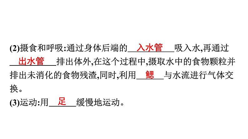 人教版生物八年级上册5.1.3 软体动物和节肢动物 课件06