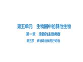 人教版生物八年级上册5.1.5 两栖动物和爬行动物 课件