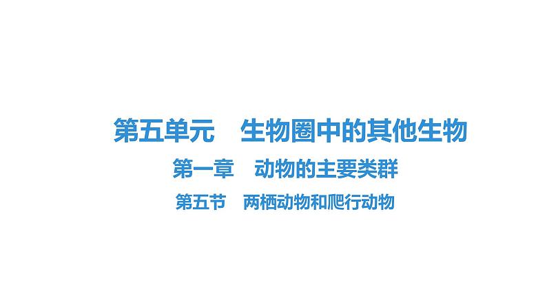 人教版生物八年级上册5.1.5 两栖动物和爬行动物 课件01