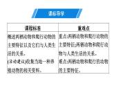 人教版生物八年级上册5.1.5 两栖动物和爬行动物 课件