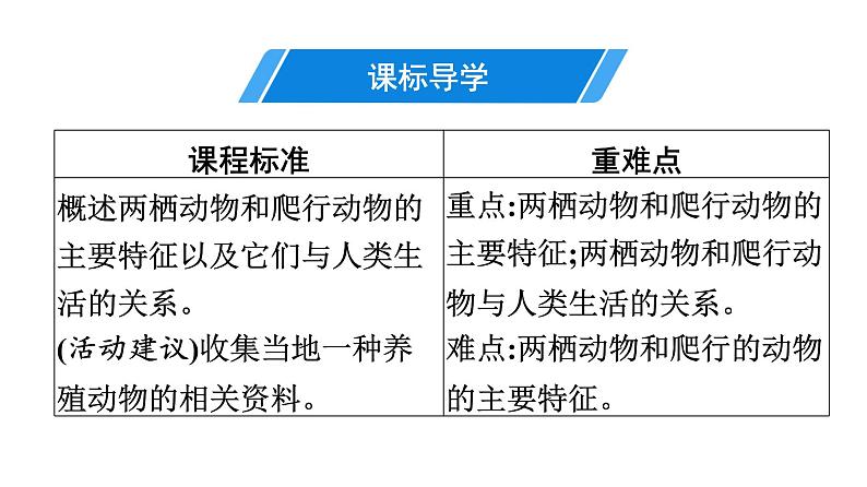 人教版生物八年级上册5.1.5 两栖动物和爬行动物 课件03