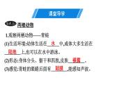 人教版生物八年级上册5.1.5 两栖动物和爬行动物 课件