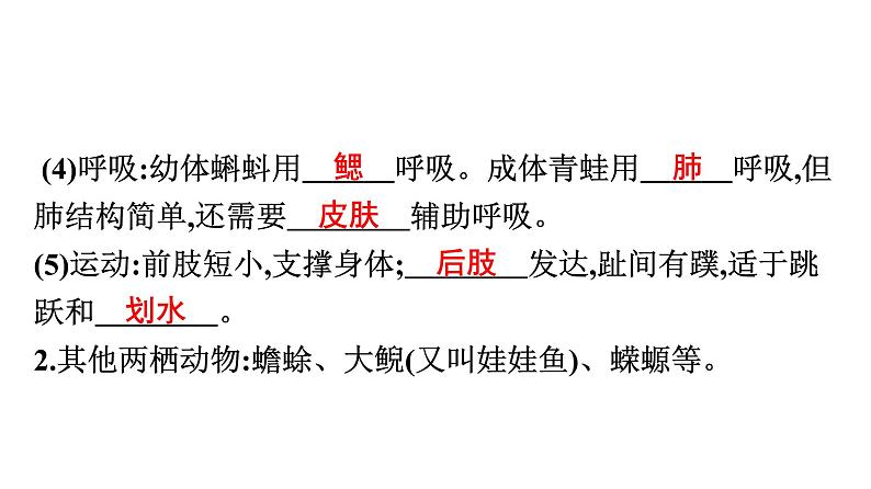 人教版生物八年级上册5.1.5 两栖动物和爬行动物 课件05