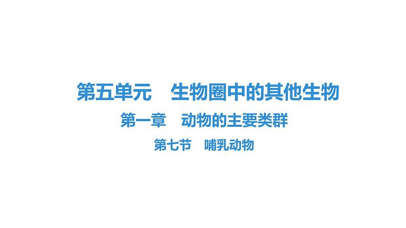 人教版生物八年级上册5.1.7 哺乳动物 课件01