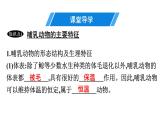 人教版生物八年级上册5.1.7 哺乳动物 课件