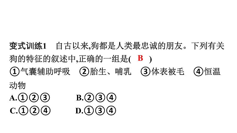 人教版生物八年级上册5.1.7 哺乳动物 课件08