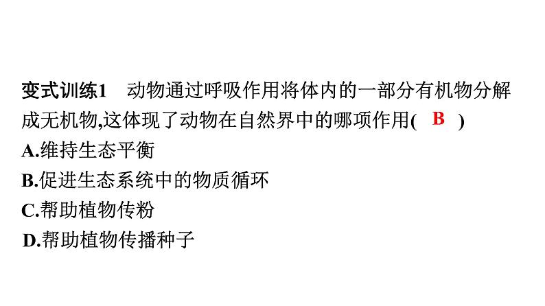 人教版生物八年级上册5.3 动物在生物圈中的作用 课件第8页