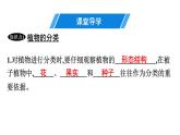 人教版生物八年级上册6.1.1 尝试对生物进行分类 课件