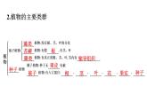 人教版生物八年级上册6.1.1 尝试对生物进行分类 课件