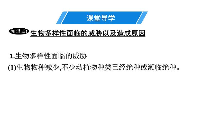 人教版生物八年级上册6.3 保护生物的多样性 课件04