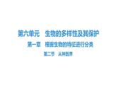 人教版生物八年级上册6.1.2 从种到界 课件