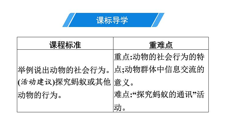 人教版生物八年级上册5.2.3 社会行为 课件03