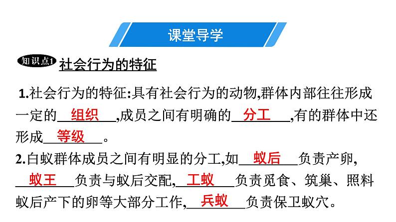 人教版生物八年级上册5.2.3 社会行为 课件04