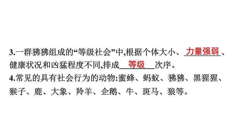 人教版生物八年级上册5.2.3 社会行为 课件05