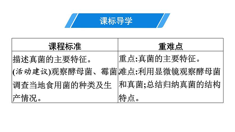 人教版生物八年级上册5.4.3 真菌 课件03