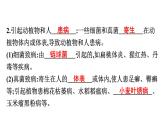 人教版生物八年级上册5.4.4 细菌和真菌在自然界中的作用 课件