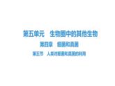 人教版生物八年级上册5.4.5 人类对细菌和真菌的利用 课件