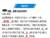 人教版生物八年级上册5.4.5 人类对细菌和真菌的利用 课件