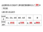 人教版生物八年级上册5.4.5 人类对细菌和真菌的利用 课件