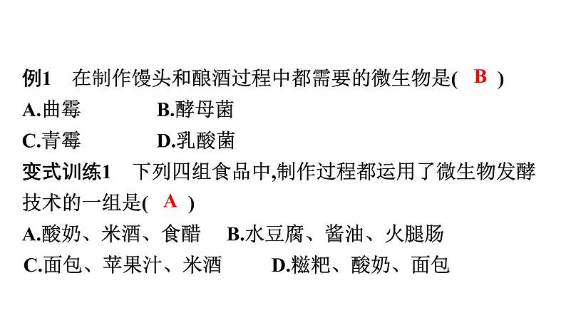 人教版生物八年级上册5.4.5 人类对细菌和真菌的利用 课件06