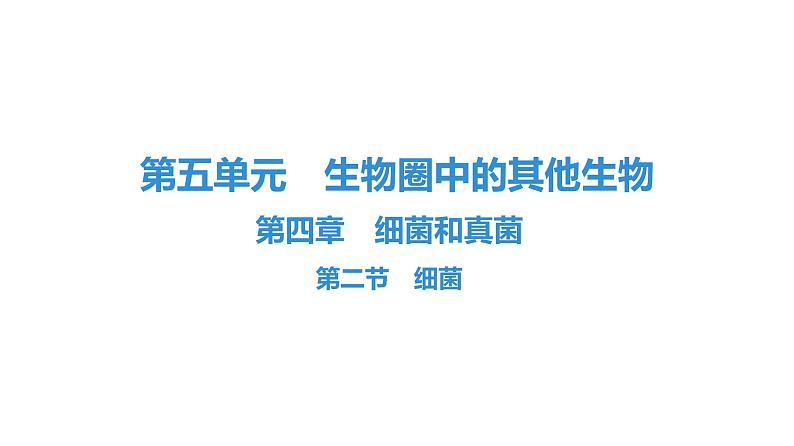 人教版生物八年级上册5.4.2 细菌 课件第1页