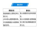 人教版生物八年级上册5.4.2 细菌 课件