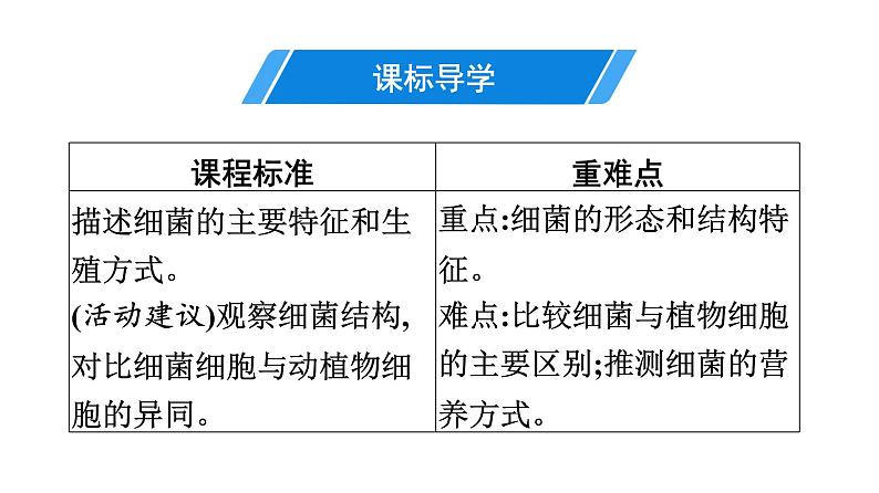 人教版生物八年级上册5.4.2 细菌 课件第3页