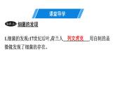人教版生物八年级上册5.4.2 细菌 课件