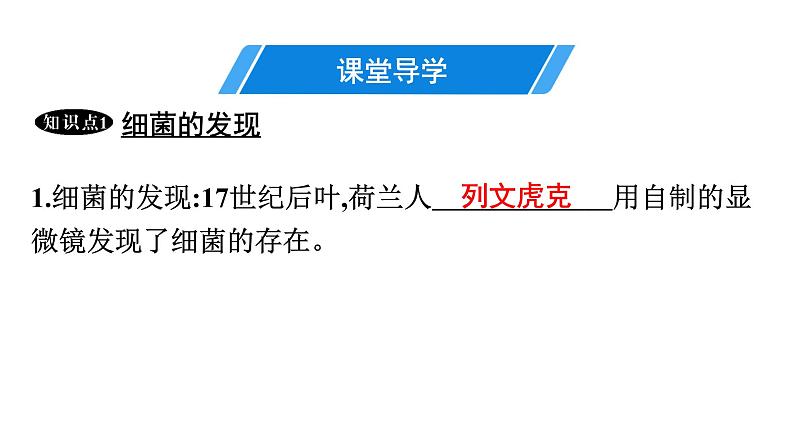 人教版生物八年级上册5.4.2 细菌 课件第4页