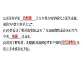 人教版生物八年级上册5.4.2 细菌 课件