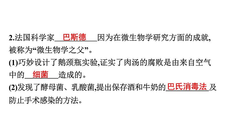 人教版生物八年级上册5.4.2 细菌 课件第5页