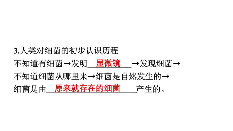 人教版生物八年级上册5.4.2 细菌 课件第6页