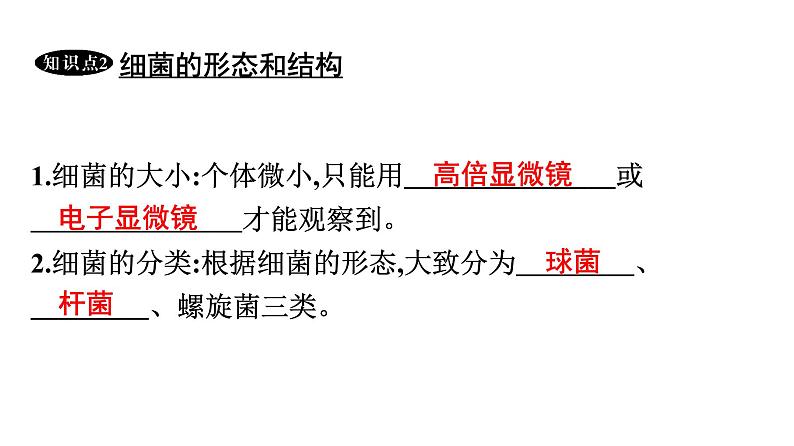 人教版生物八年级上册5.4.2 细菌 课件第8页