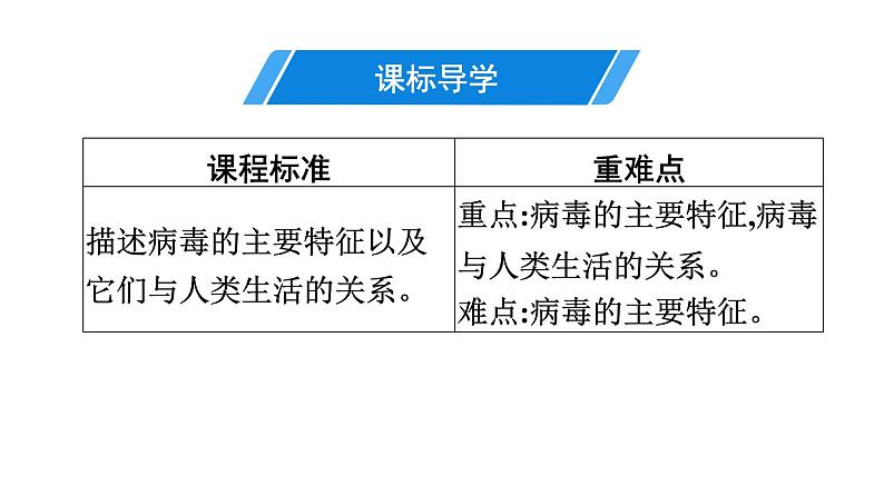 人教版生物八年级上册第五单元 第五章　病毒 课件第3页