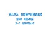 人教版生物八年级上册5.4.1 细菌和真菌的分布 课件