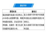 人教版生物八年级上册5.4.1 细菌和真菌的分布 课件