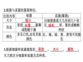 人教版生物八年级上册5.4.1 细菌和真菌的分布 课件