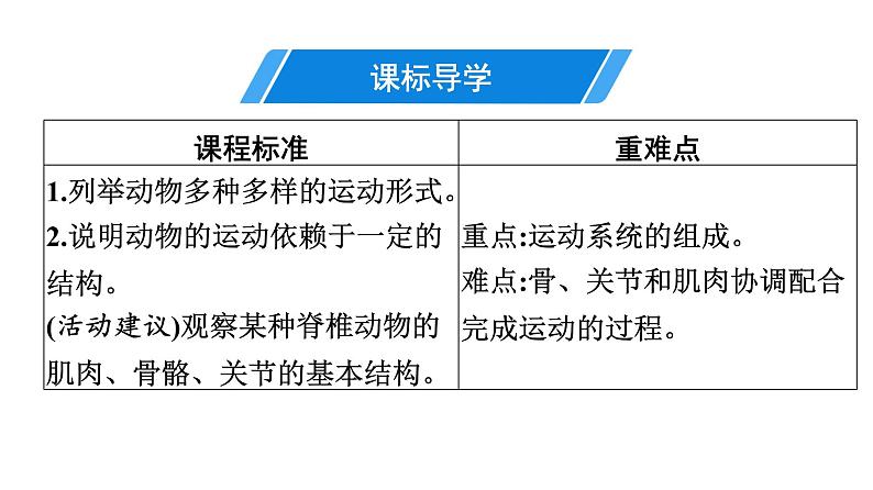 人教版生物八年级上册5.2.1 动物的运动 课件03