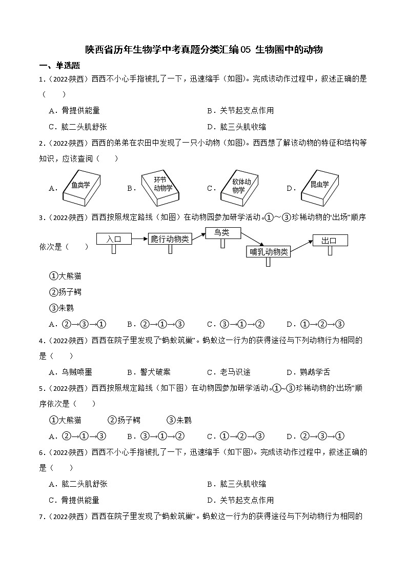 陕西省至2022年历年生物学中考真题分类汇编05 生物圈中的动物及答案01